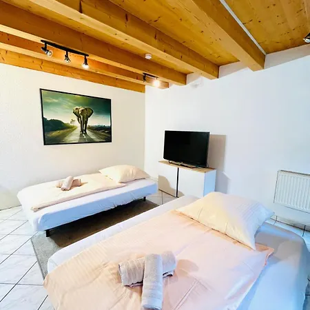 Suedtor Apartment Geisingen