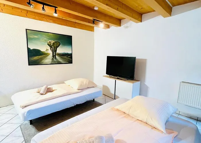 Suedtor Apartment Geisingen